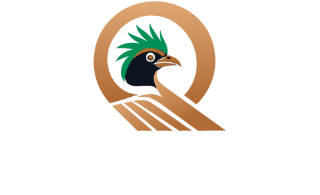 Home renovation contractor DMV area - Quetzal Flooring & More